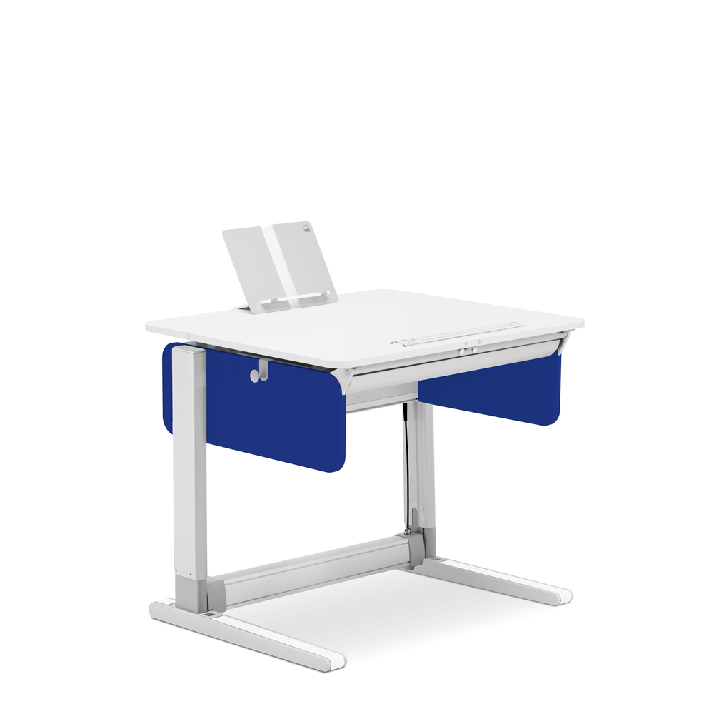 Moll ergonomic desk deals